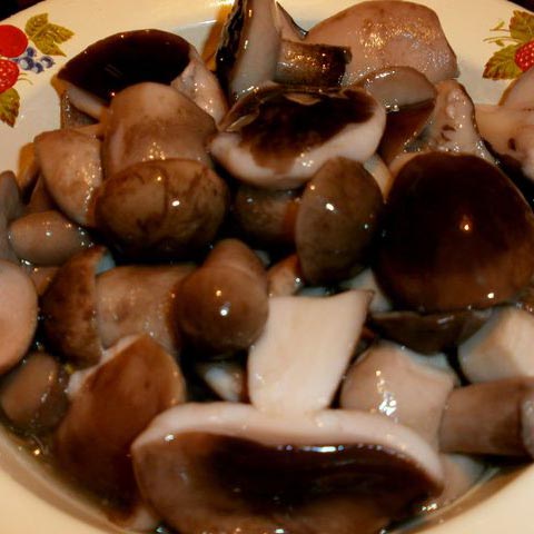 маринованные грибы подберезовики от заготовителя по оптовым ценам с доставкой по всей Москве и России