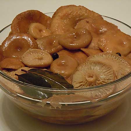 соленые грибы волнушки от заготовителя по оптовым ценам с доставкой по всей Москве и России