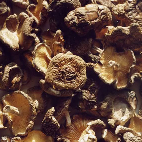 вкусные грибы опята сушеные в Москве и области купить с доставкой