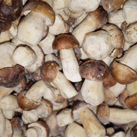 отборные замороженные белые грибы высокого каечества можно купить в Москве с доставкой у нас
